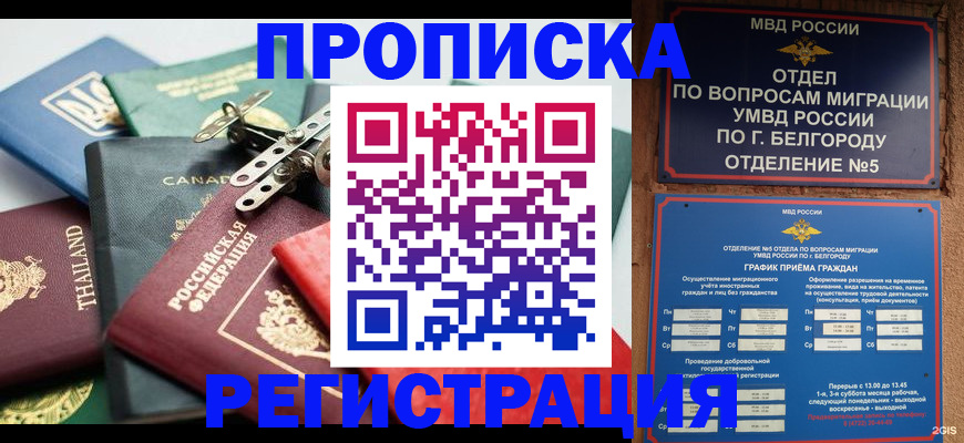 найти адрес прописки в Боре
